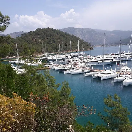 Holiday home Terrace Life Palm Apart Gocek (Fethiye)